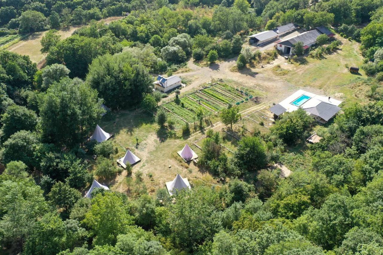 Gipsy Village Park Hotel Asureti Экстерьер фото